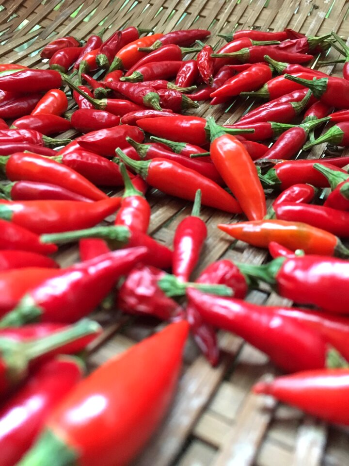 Vegetable red pepper red