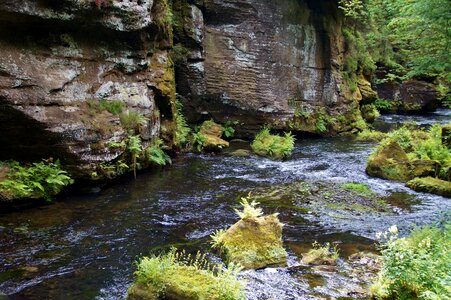 The wild gorge river kamenice
