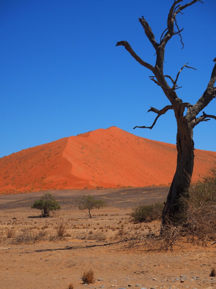 Namibia roter sand loneliness