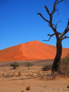 Namibia roter sand loneliness