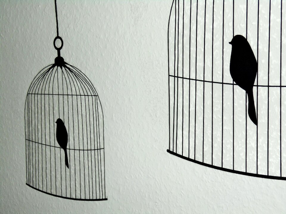 Birds cage decoration
