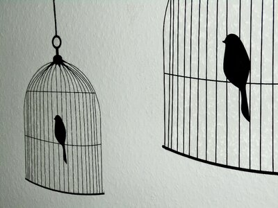 Birds cage decoration photo