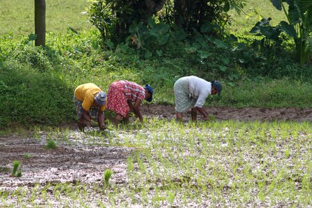Sri lanka workers gathering