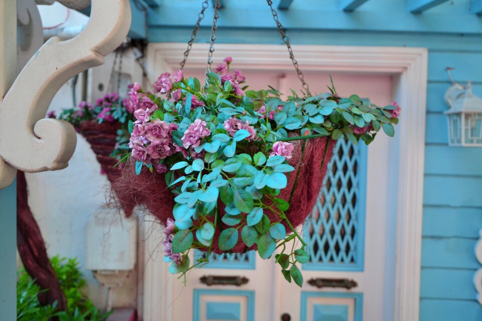 Nature decoration garden