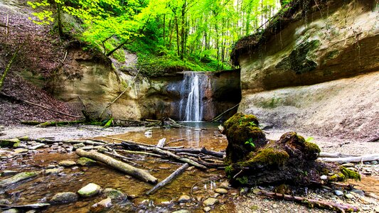 Bach forest ravensburg photo