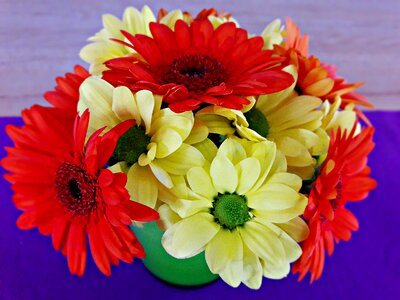 Vase color bouquet photo