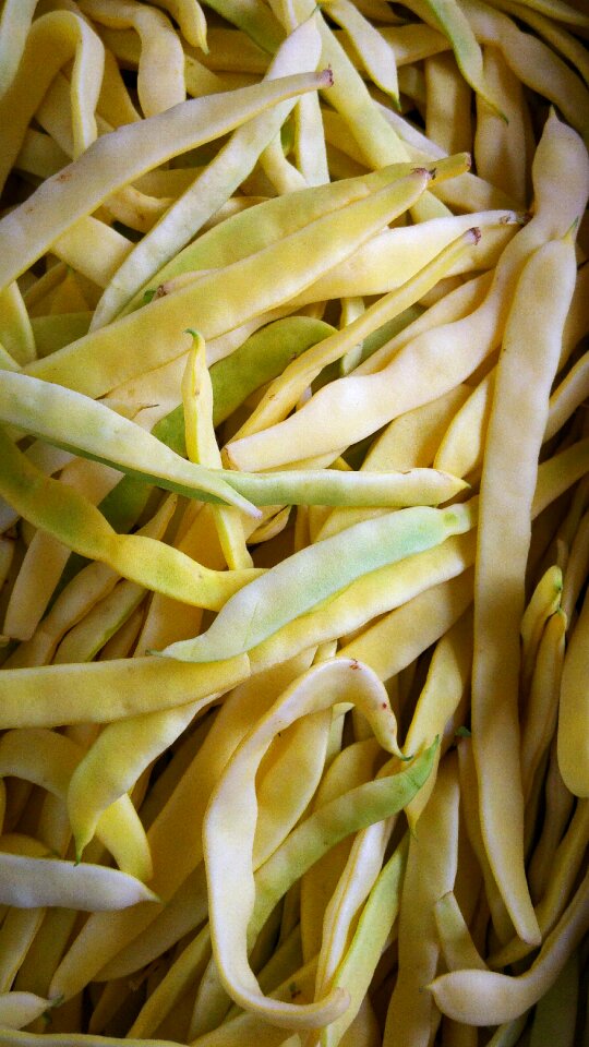 Natural organic
