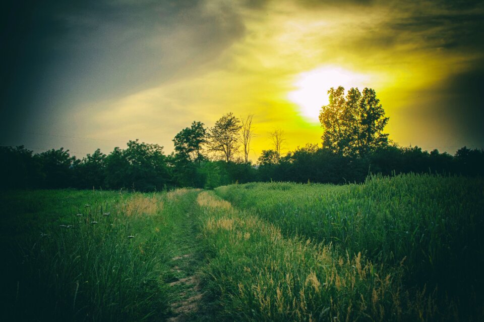 Sunset landscape