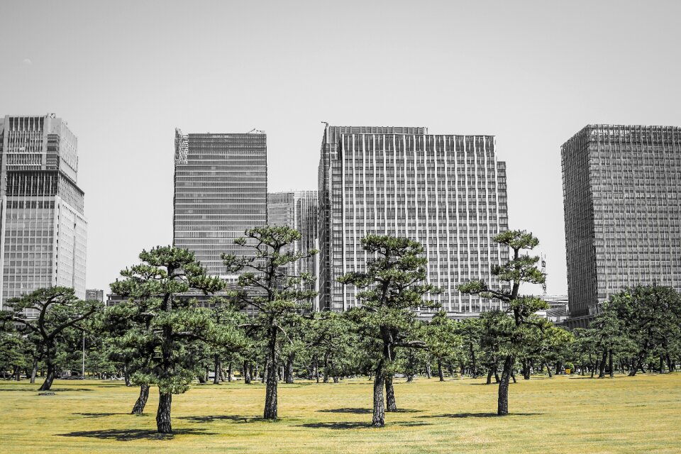 Asia city building