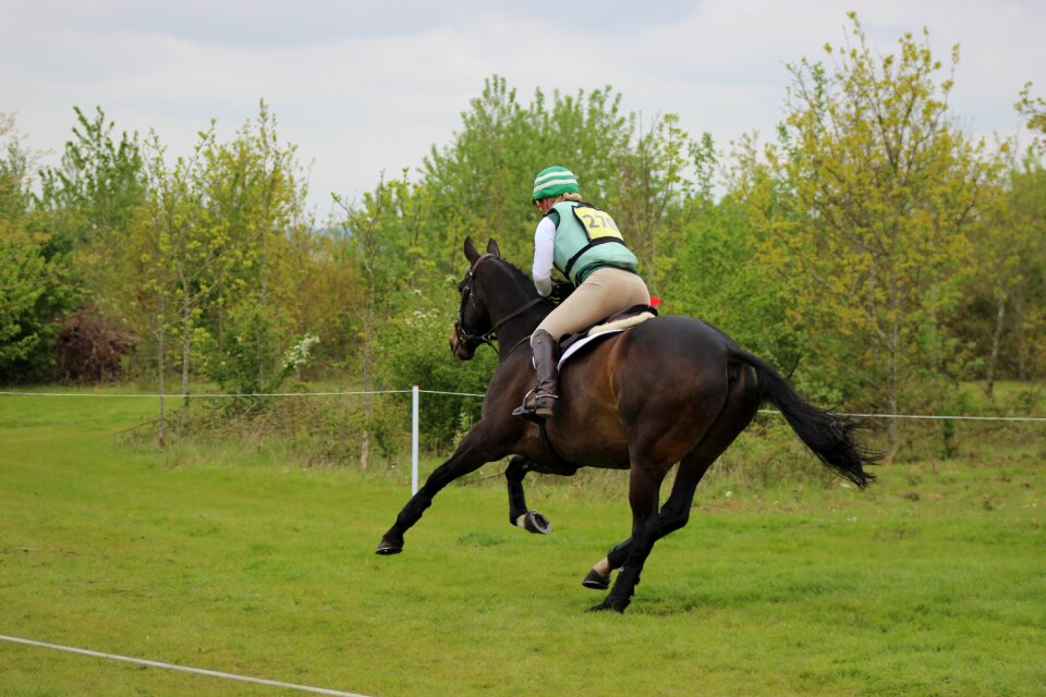 Equestrian rider eventing