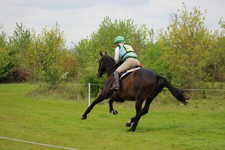 Equestrian rider eventing photo