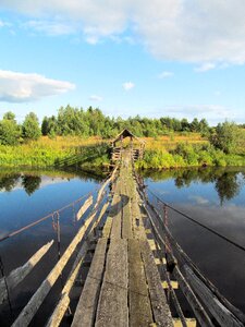 Bridge forest mood