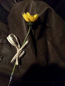 Love flowers romantica