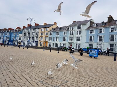 House beach