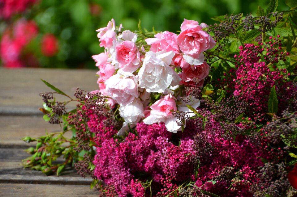 Bouquet summer plant