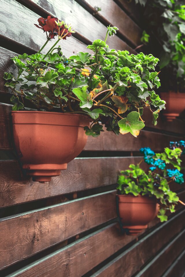 Nature cup cooking pot garden
