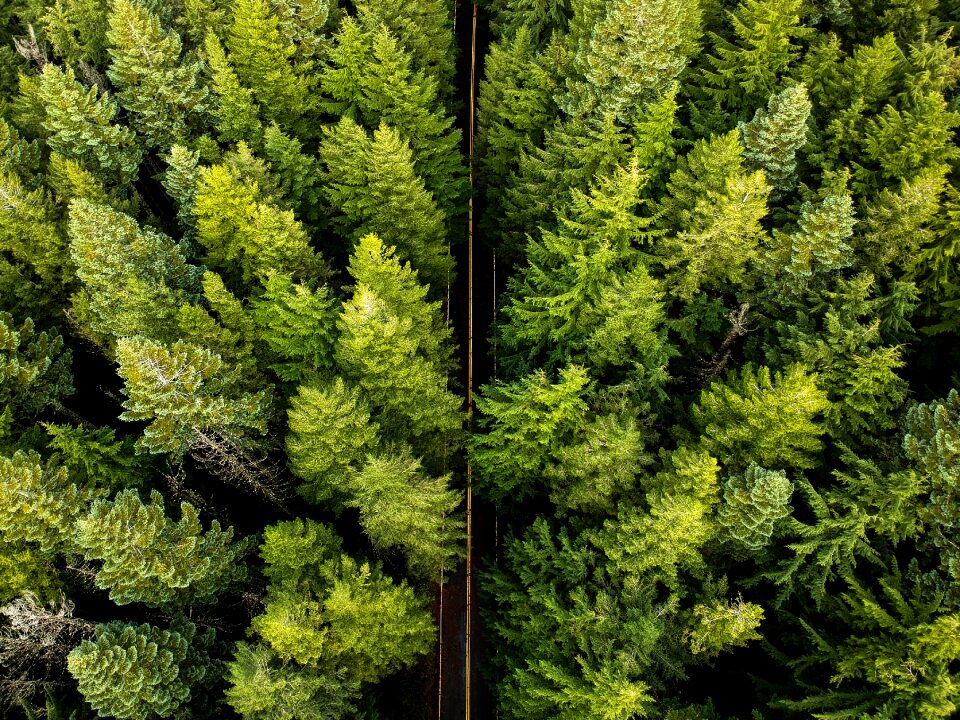 Landscape usa outdoors