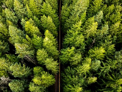 Landscape usa outdoors