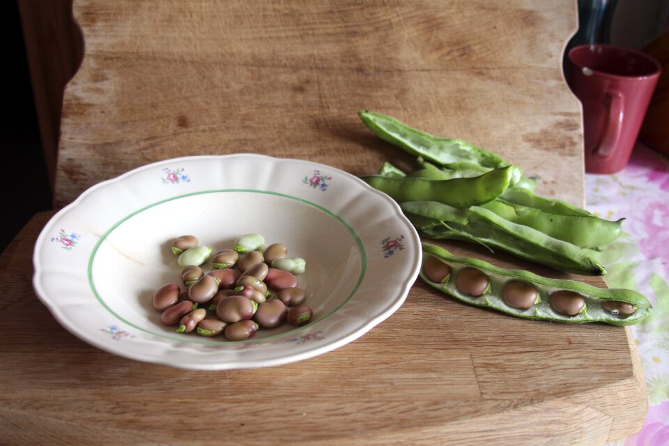 Bean peas vegetarian