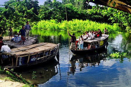 Forest boat