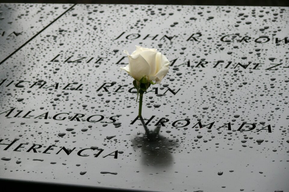 Rose monument america