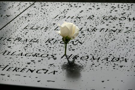 Rose monument america