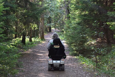 Senior scooter nature path