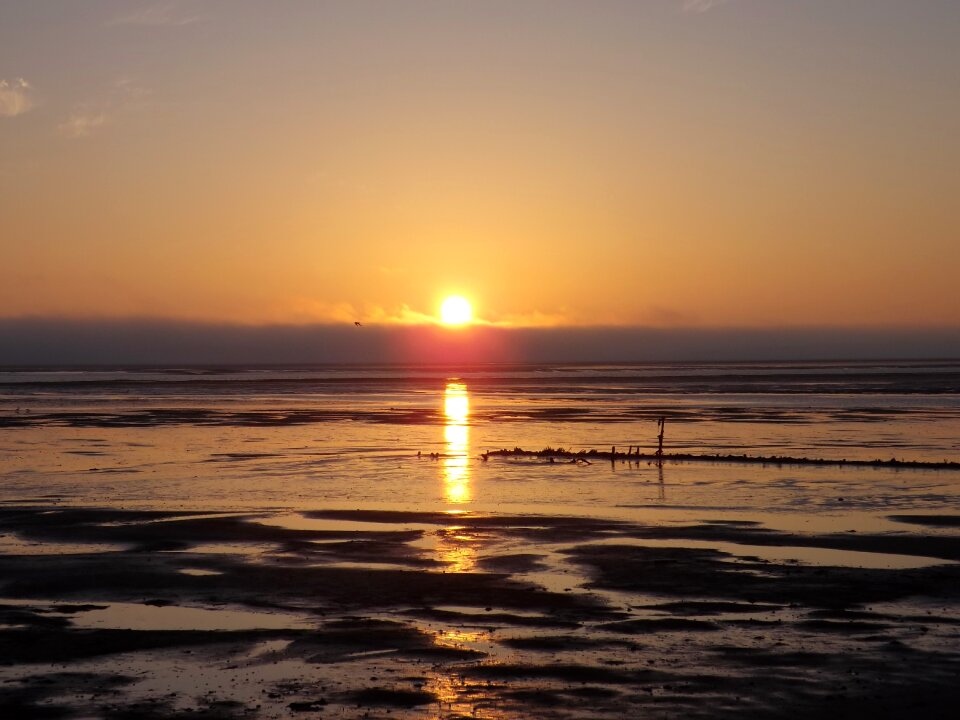 Sunset watts island