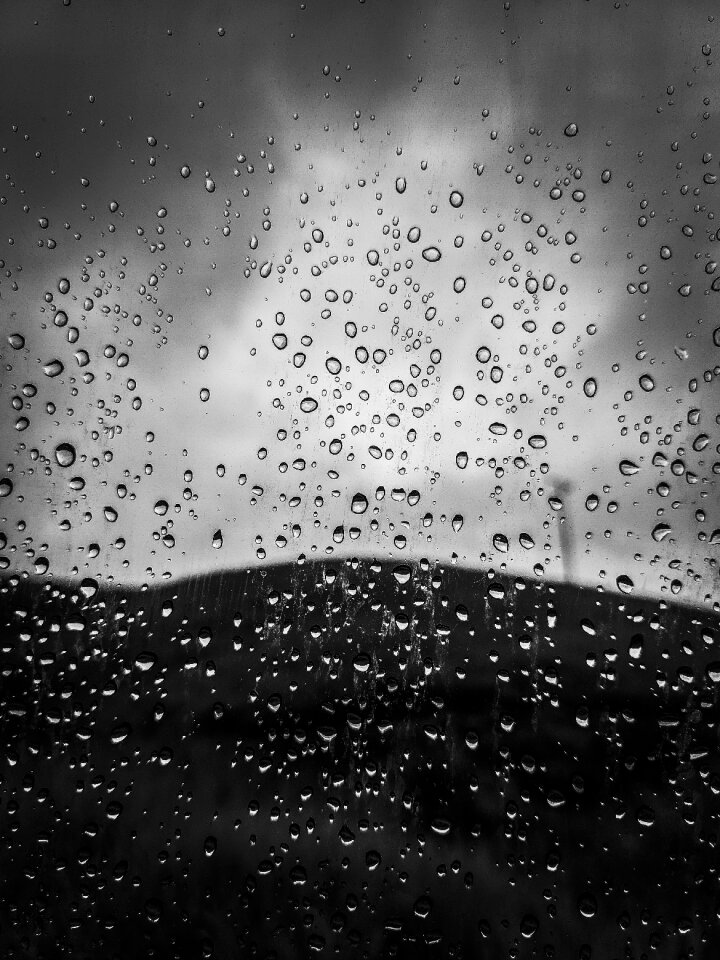 Rain wet raindrop