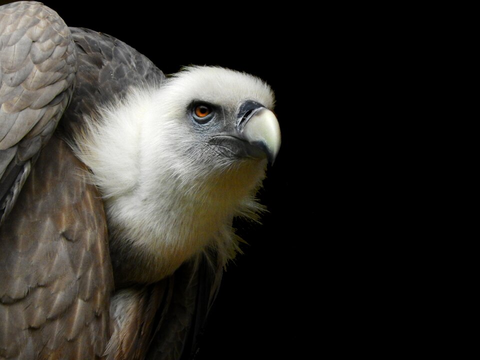 Bird zoo münster