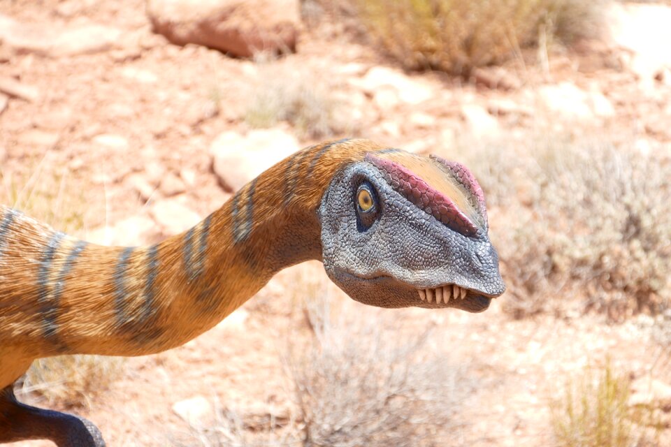 Cretaceous jurassic park