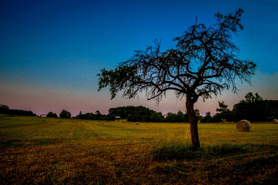 Blue color sunset