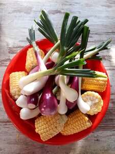 Barbecue onion shell photo