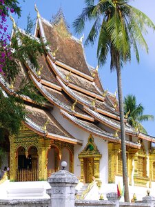 Roofing exotic traditional