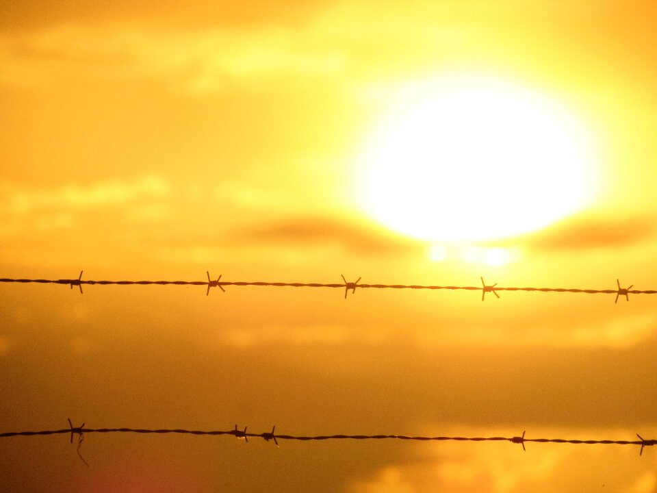 Sol landscape light