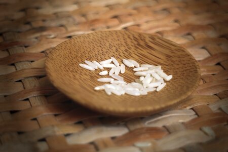 Famine poverty rice