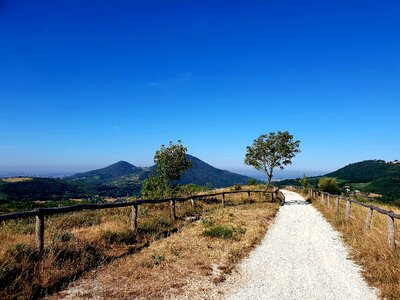 Summer passage walk