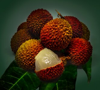Food healthy tropical