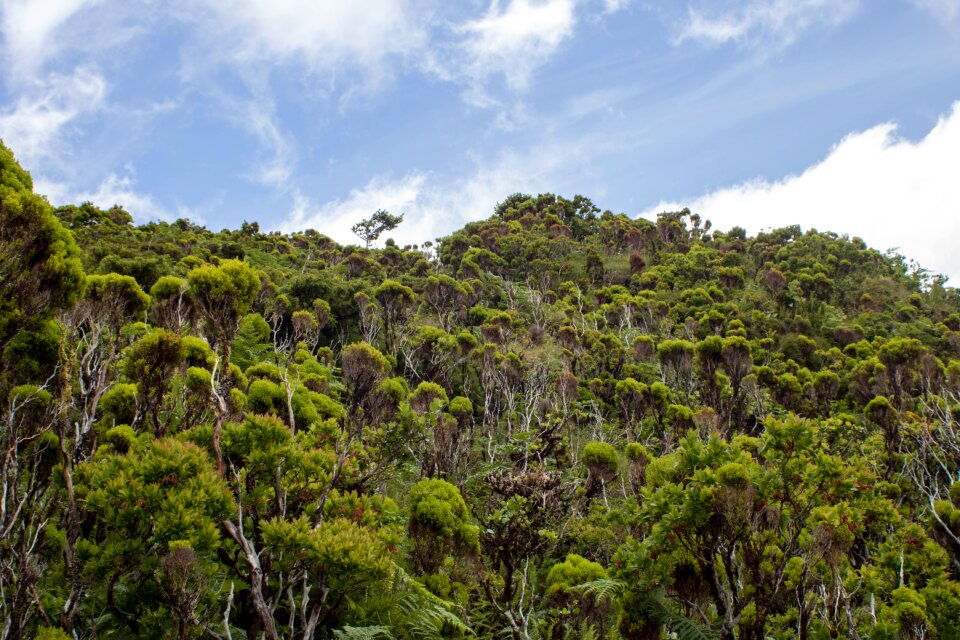 Green pico mountain volcano
