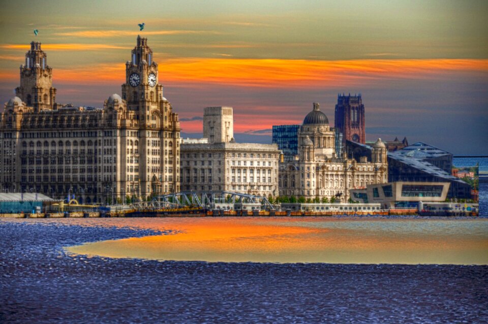 Sunset liver cunard