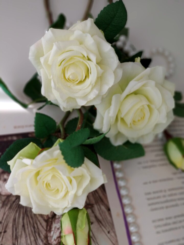 Roses pearls
