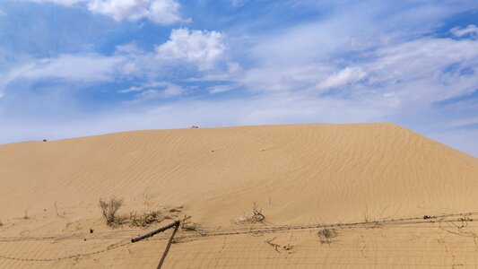 Summer desertification prairie photo