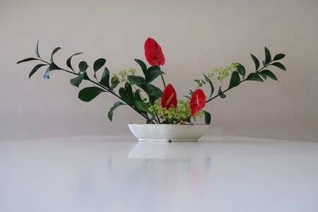 Arrangement red