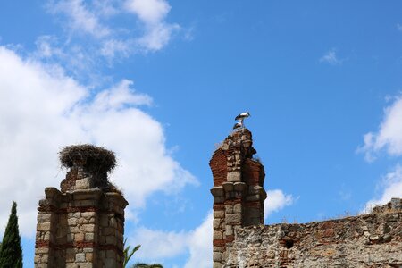 Architecture aqueduct stork