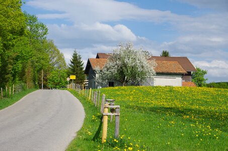 Bloom tourism journey