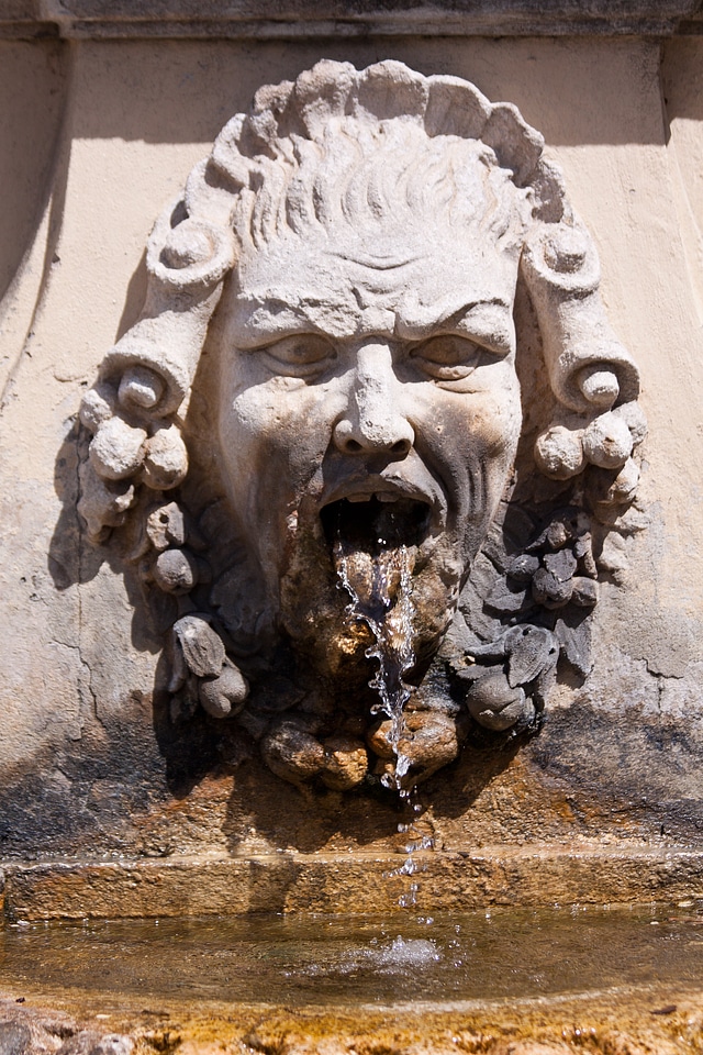 Gargoyle mediterranean garden