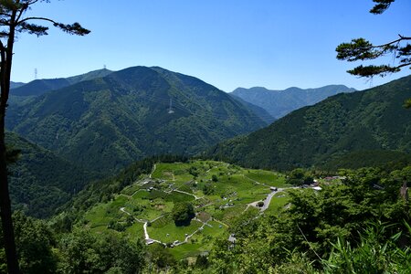 Tea plantation landscape mountain photo