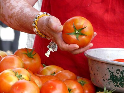 Tomatoes food vegetables