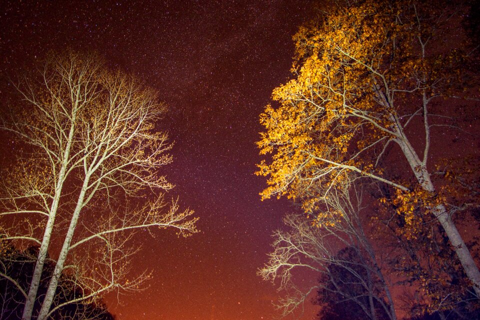 Astrophotography wide angle flashlight