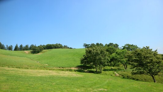 Ranch skyline green
